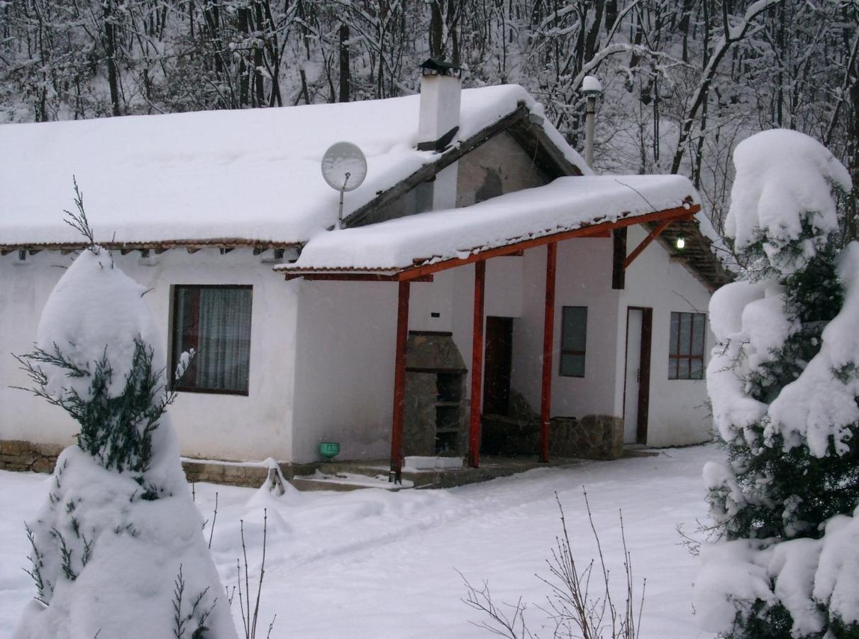 Holiday Home Tanevi Tryavna Exterior foto